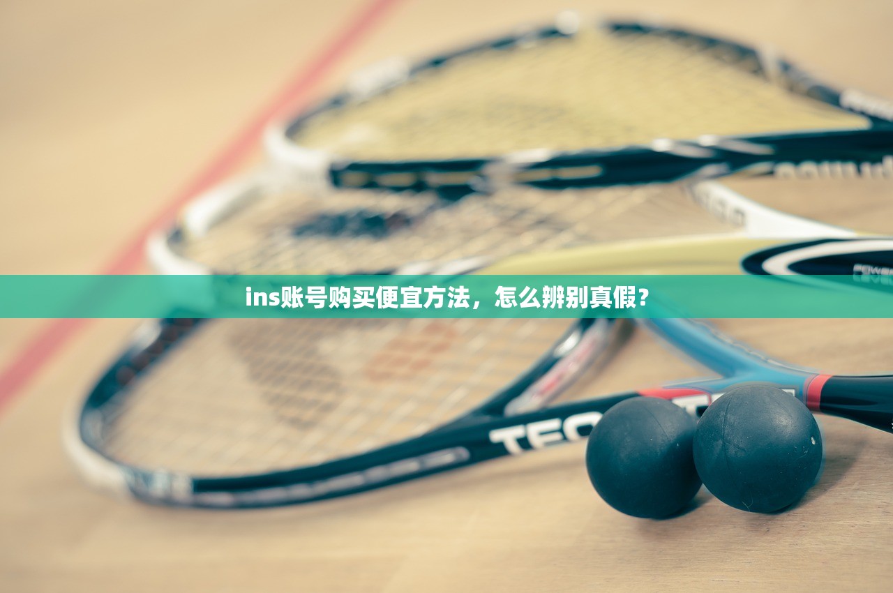 ins账号购买便宜方法,怎么辨别真假?