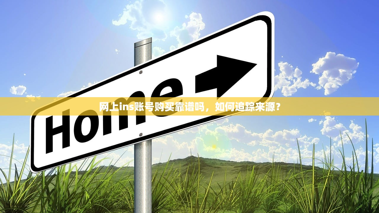 网上ins账号购买靠谱吗，如何追踪来源？