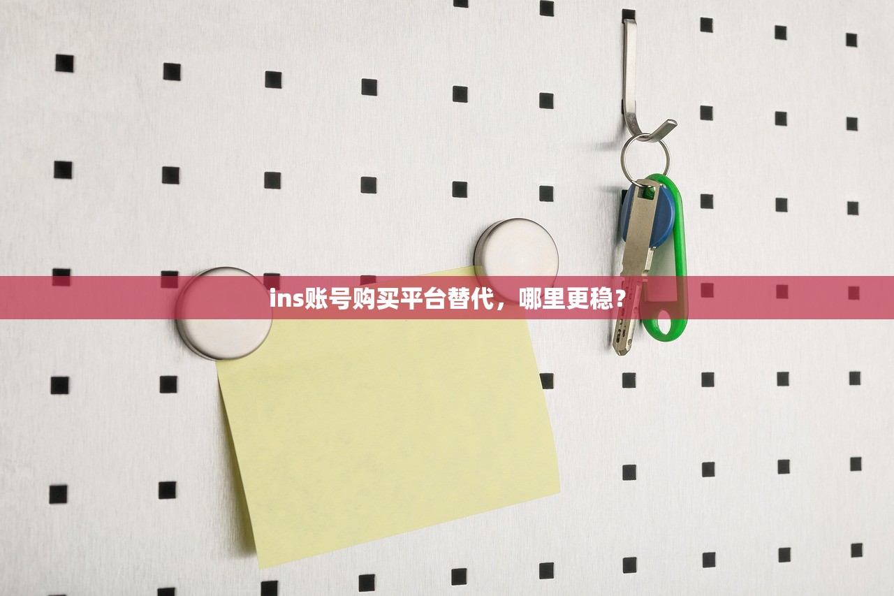 ins账号购买平台替代,哪里更稳?