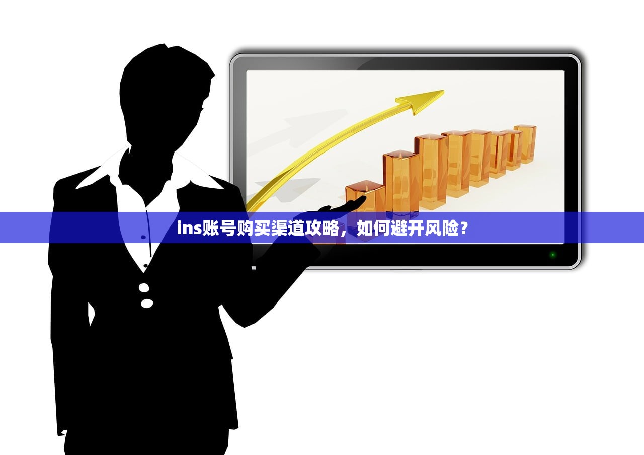 ins账号购买渠道攻略，如何避开风险？