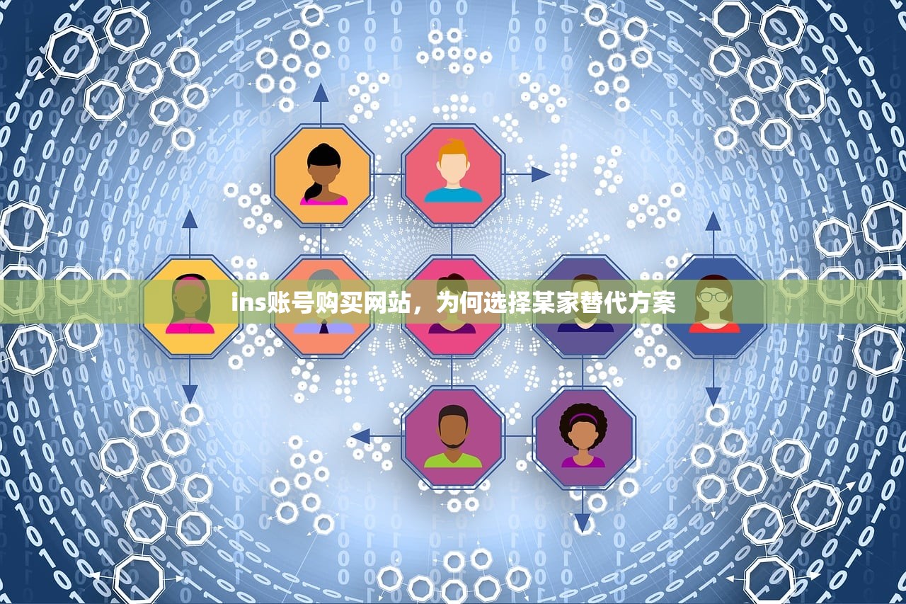 ins账号购买网站，为何选择某家替代方案