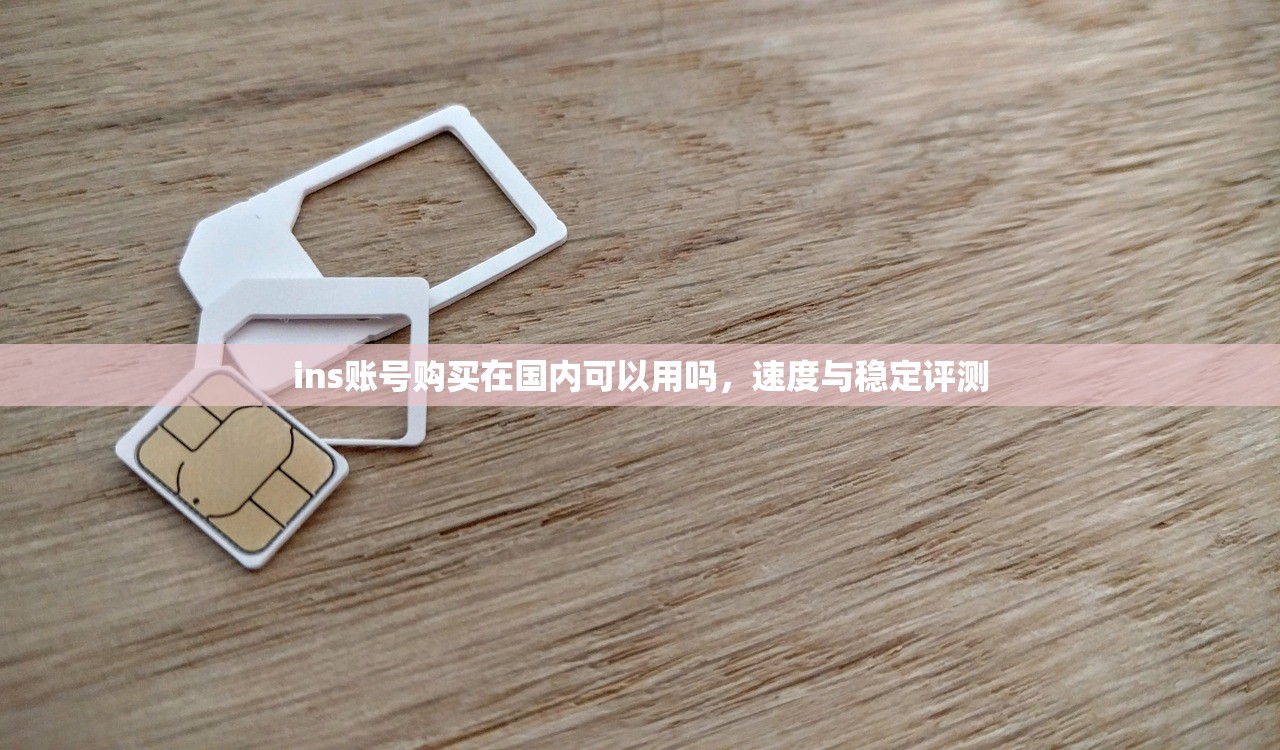 ins账号购买在国内可以用吗，速度与稳定评测