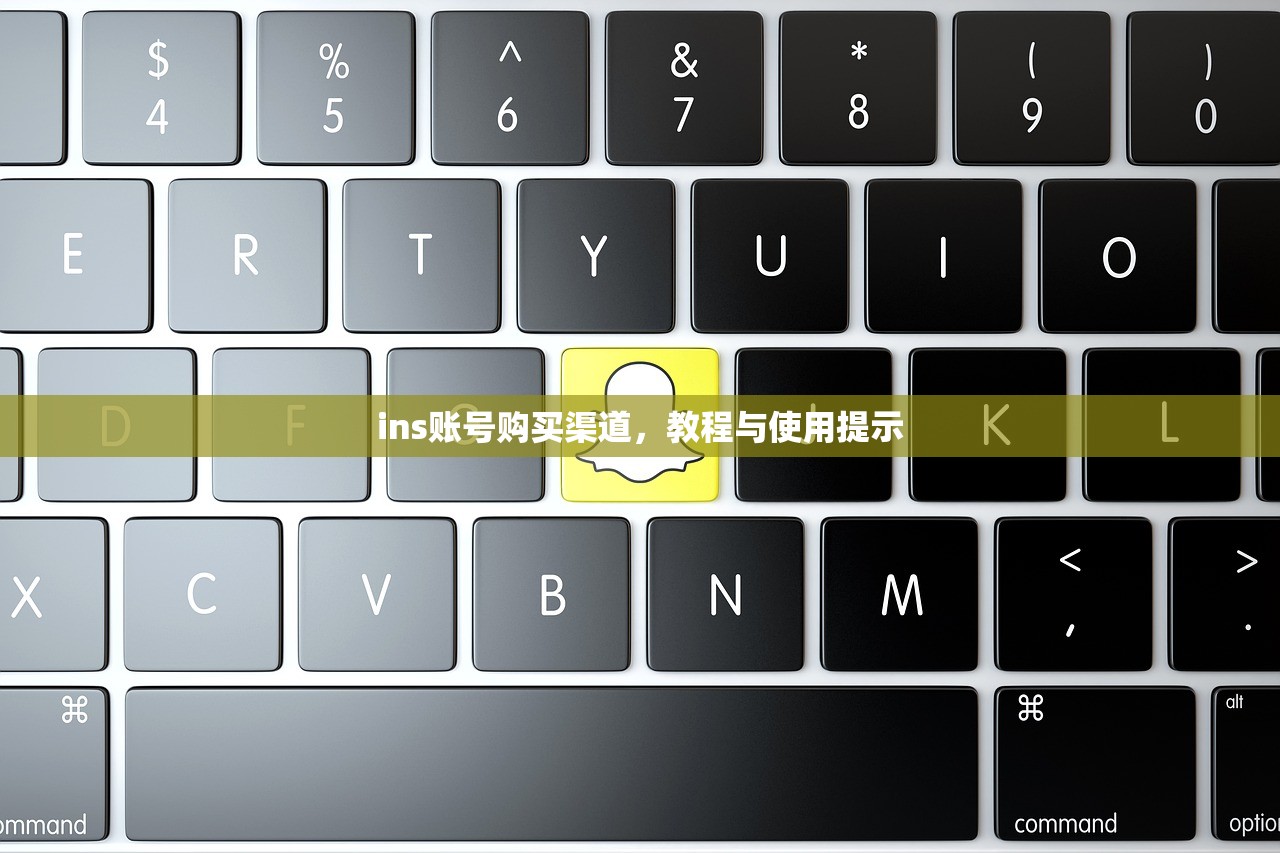 ins账号购买渠道,教程与使用提示