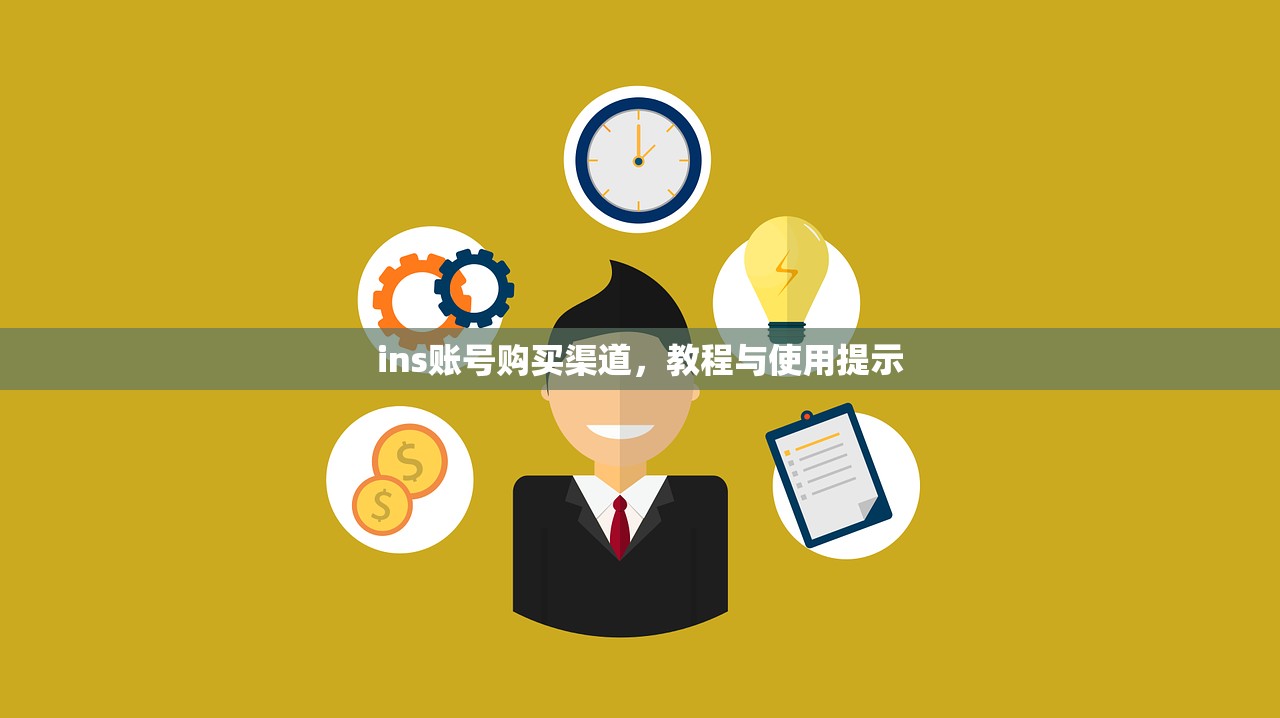 ins账号购买渠道,教程与使用提示