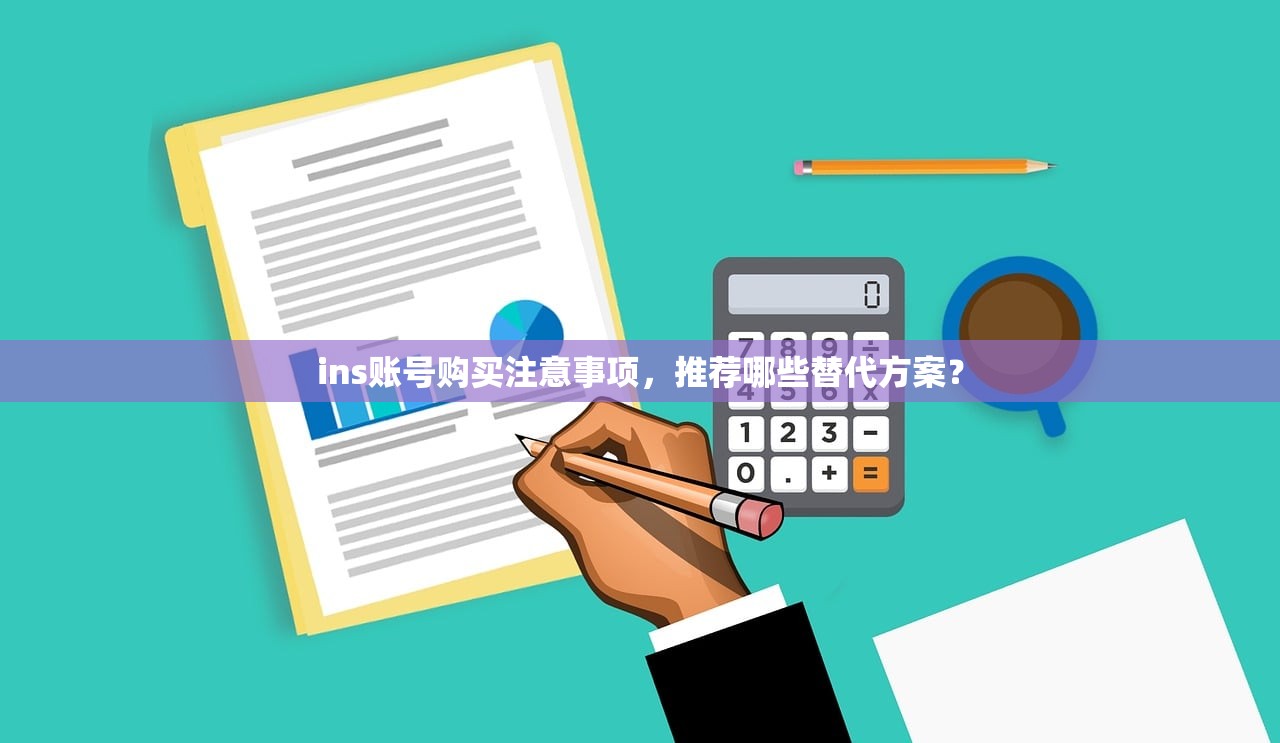 ins账号购买注意事项,推荐哪些替代方案?