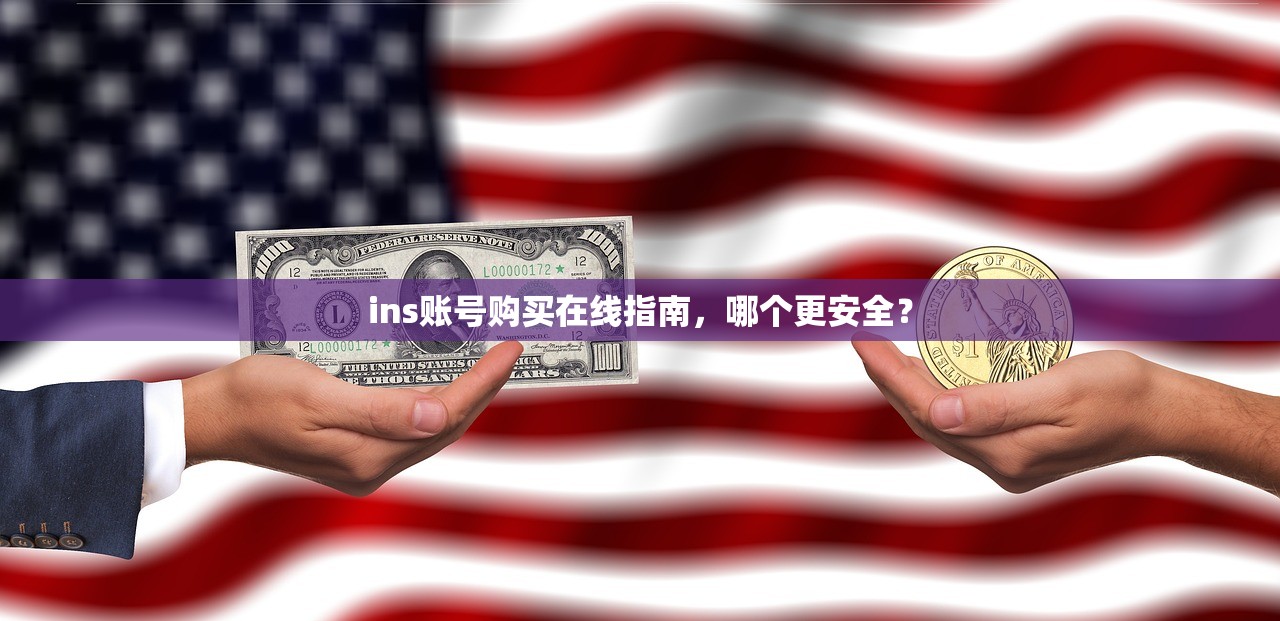 ins账号购买在线指南,哪个更安全?