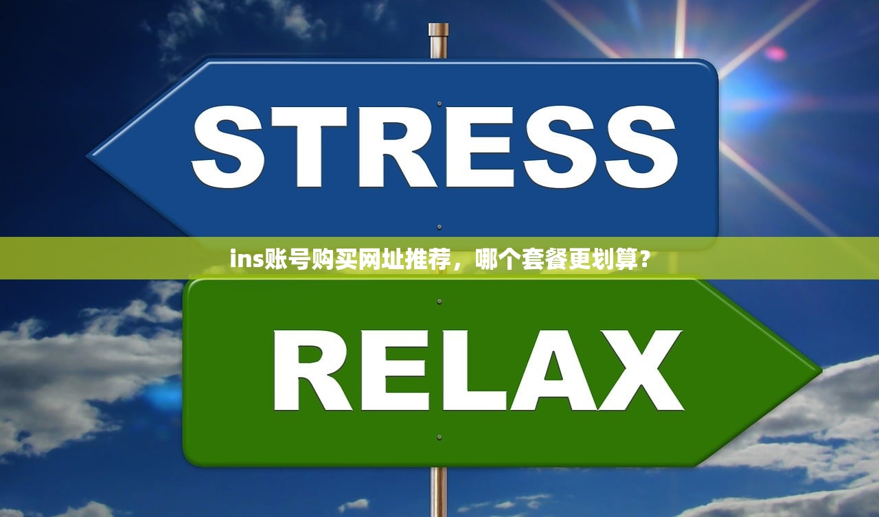 ins账号购买网址推荐,哪个套餐更划算?