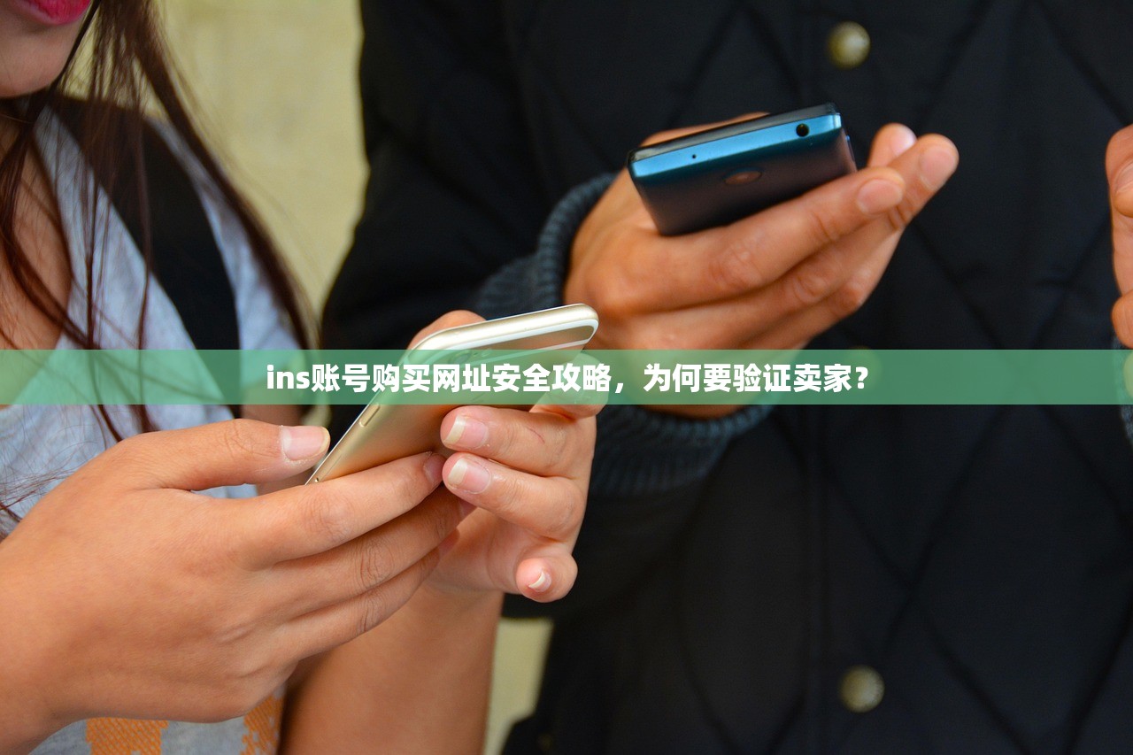 ins账号购买网址安全攻略，为何要验证卖家？