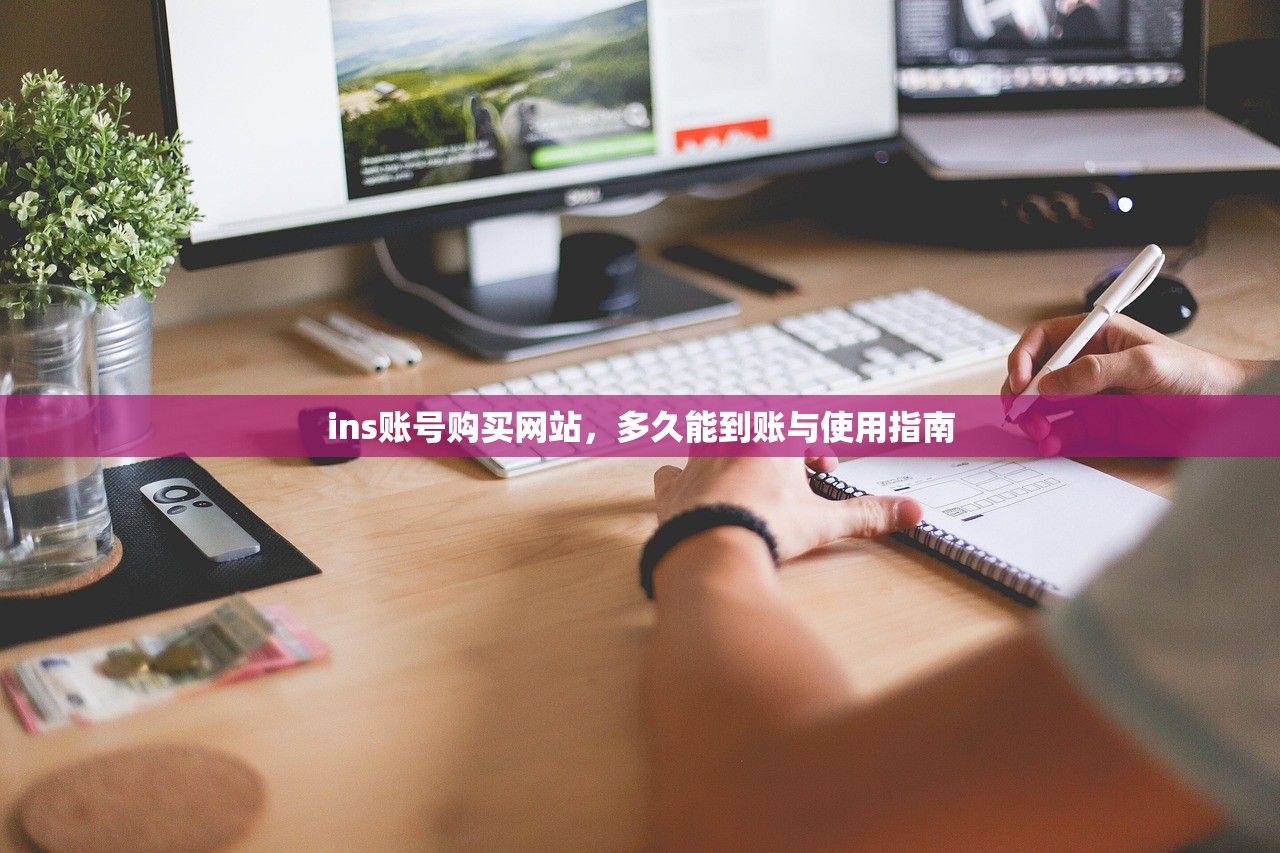 ins账号购买网站,多久能到账与使用指南