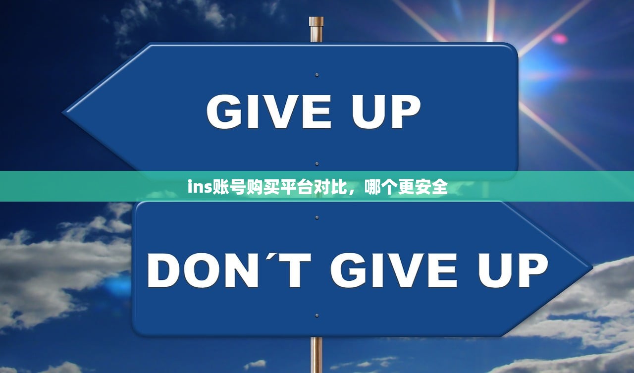 ins账号购买平台对比,哪个更安全
