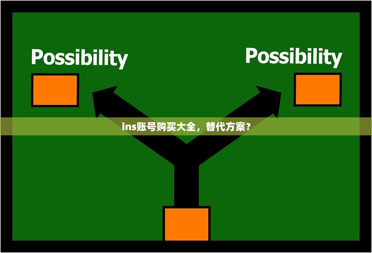 ins账号购买大全，替代方案？