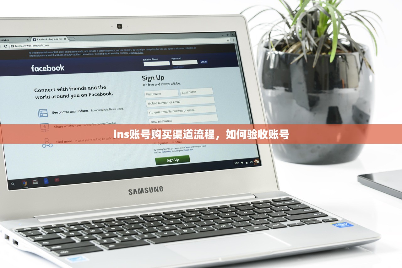 ins账号购买渠道流程，如何验收账号