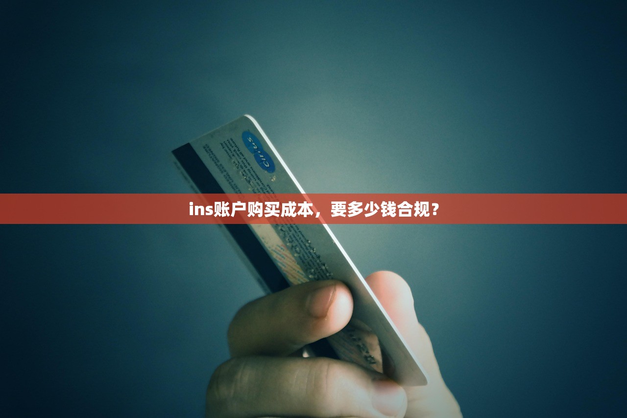 ins账户购买成本,要多少钱合规?
