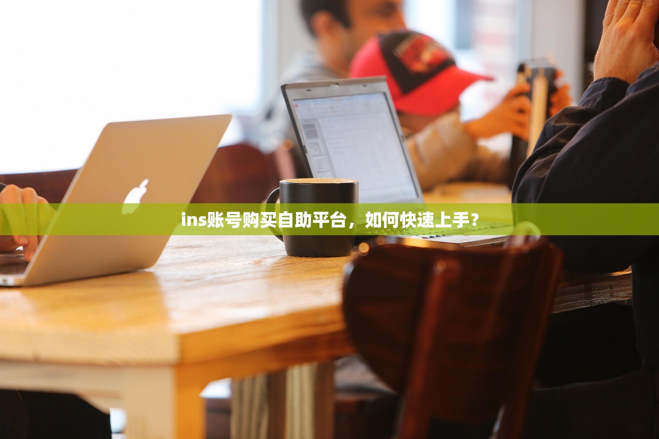 ins账号购买自助平台，如何快速上手？