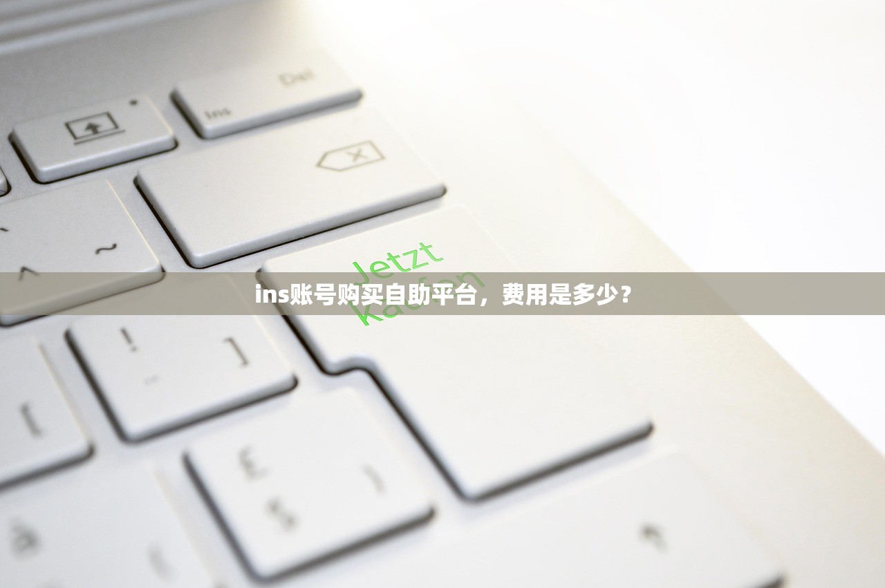 ins账号购买自助平台，费用是多少？