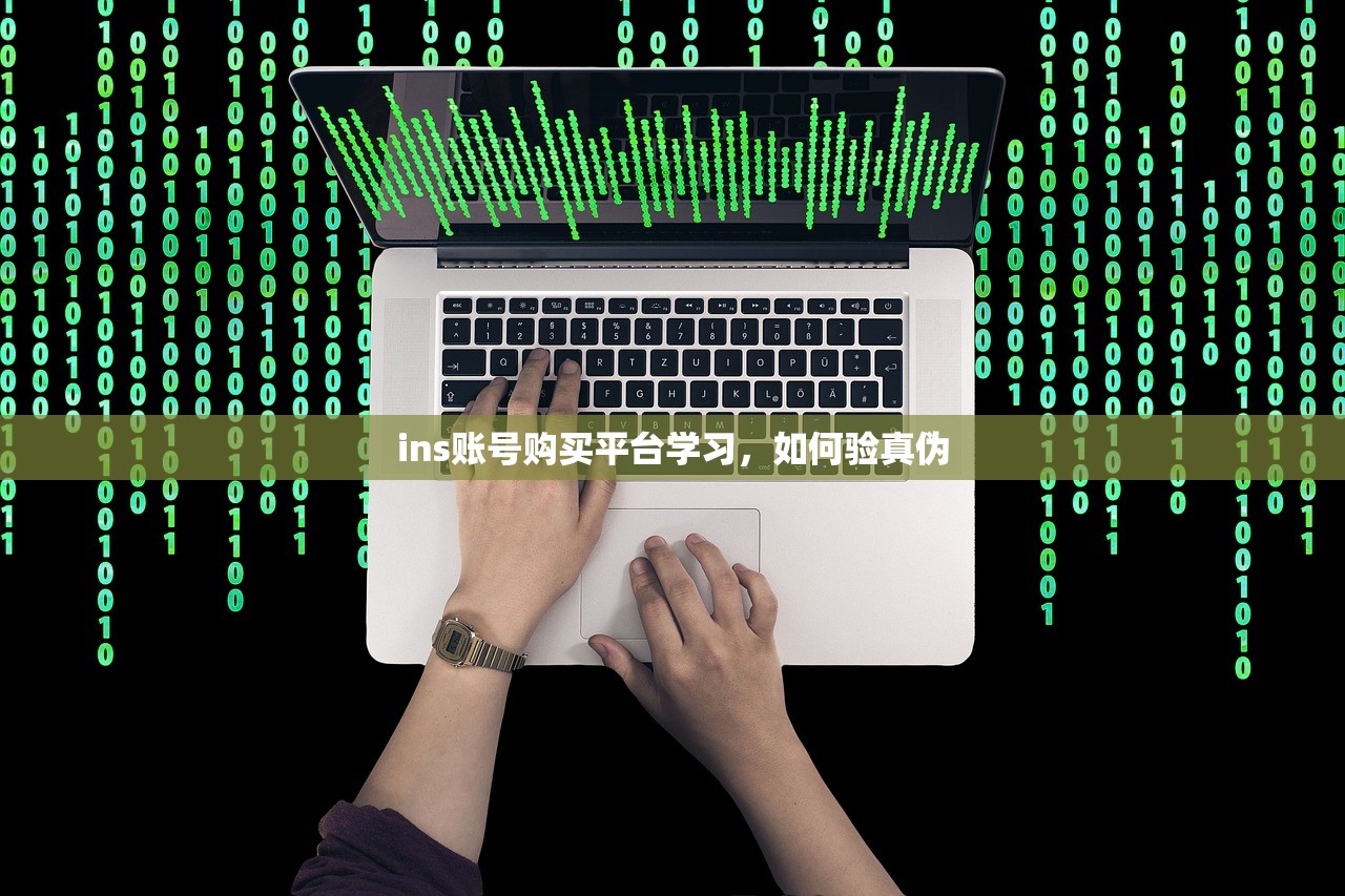 ins账号购买平台学习,如何验真伪