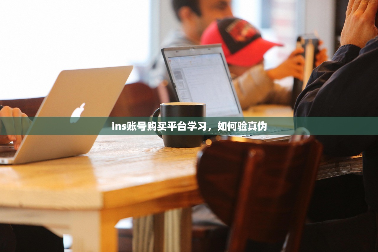 ins账号购买平台学习,如何验真伪