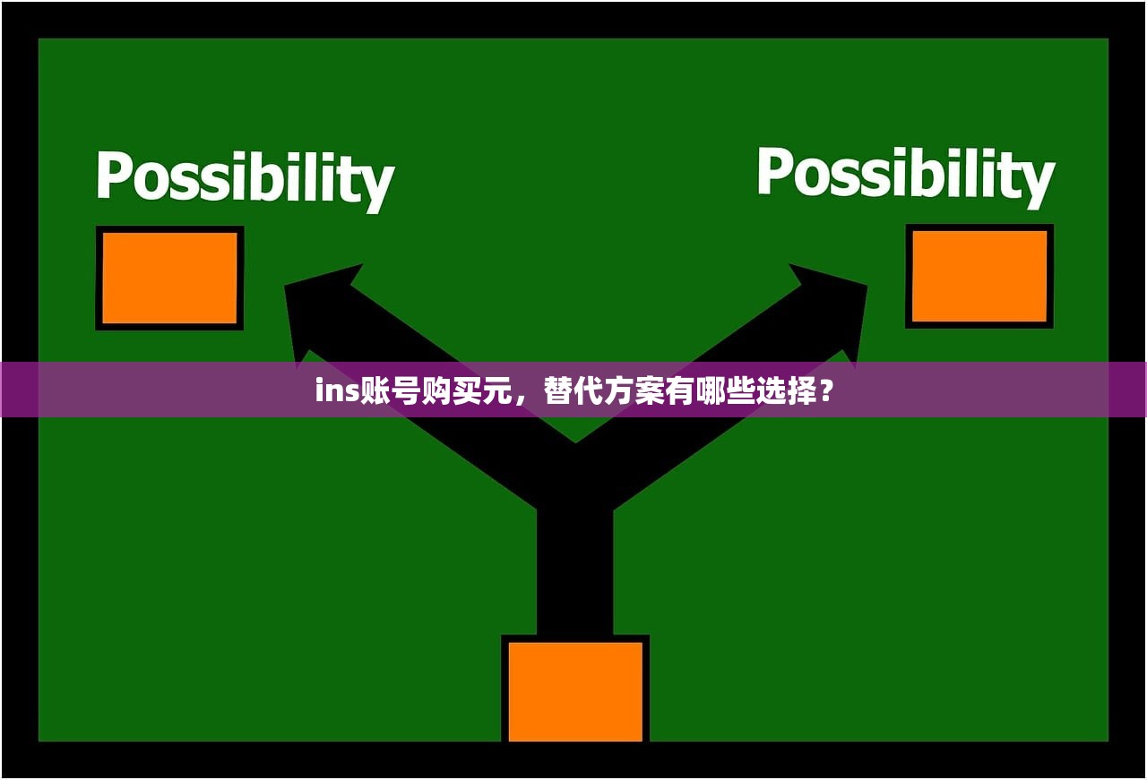 ins账号购买元，替代方案有哪些选择？