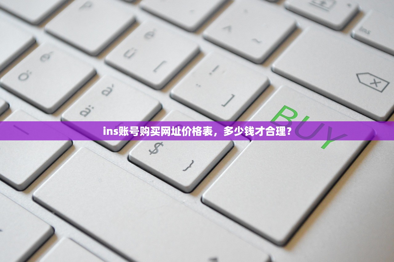 ins账号购买网址价格表,多少钱才合理?