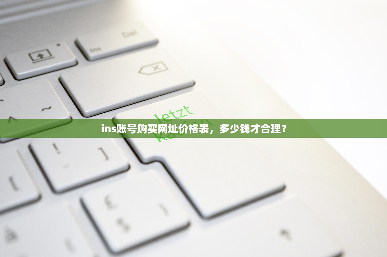 ins账号购买网址价格表,多少钱才合理?