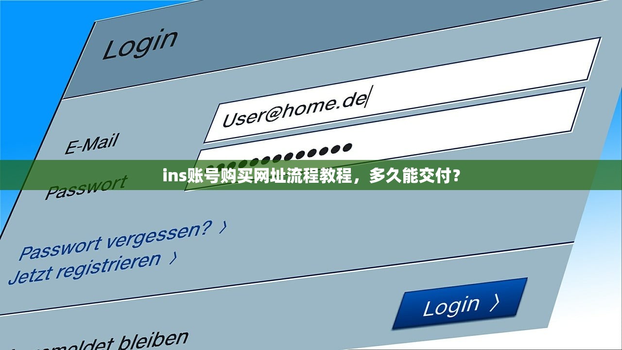 ins账号购买网址流程教程,多久能交付?