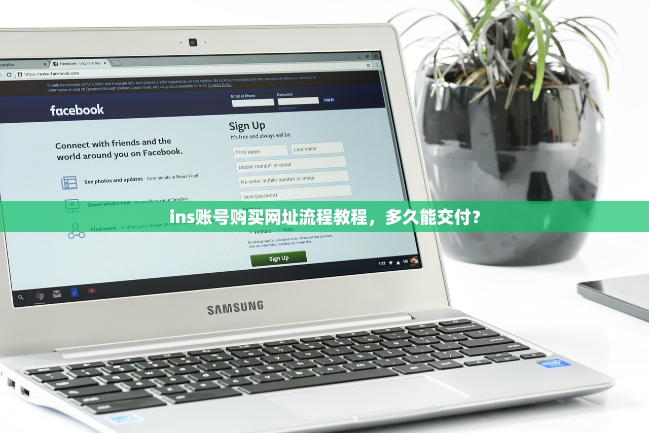 ins账号购买网址流程教程,多久能交付?