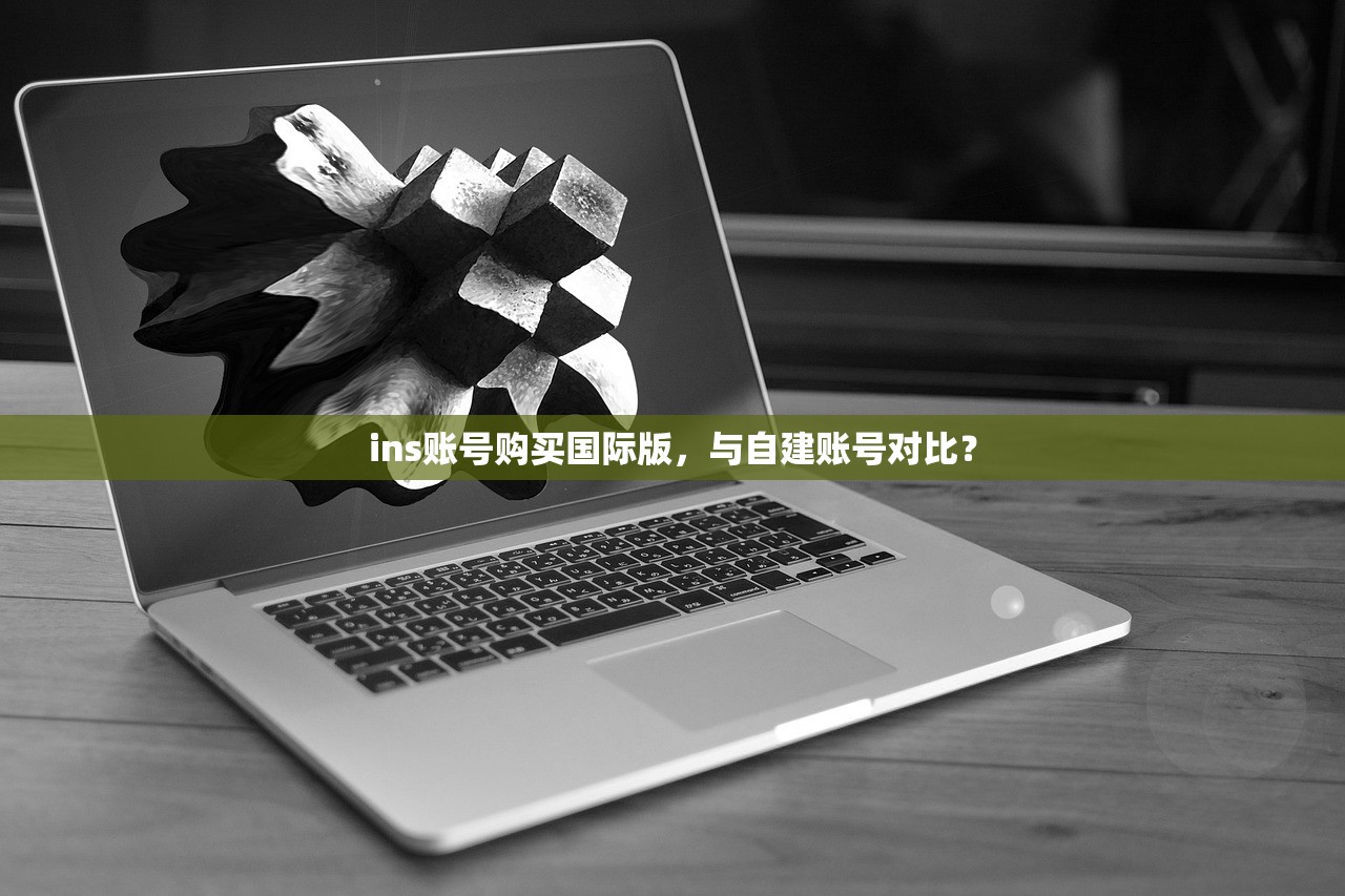 ins账号购买国际版，与自建账号对比？