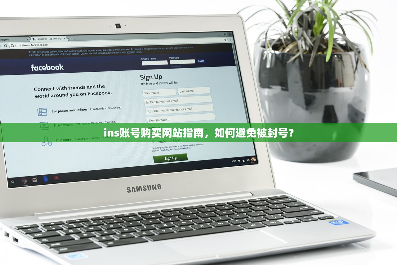 ins账号购买网站指南，如何避免被封号？