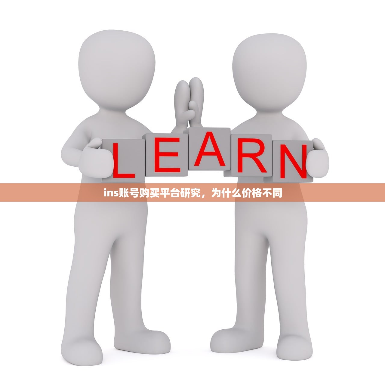 ins账号购买平台研究,为什么价格不同