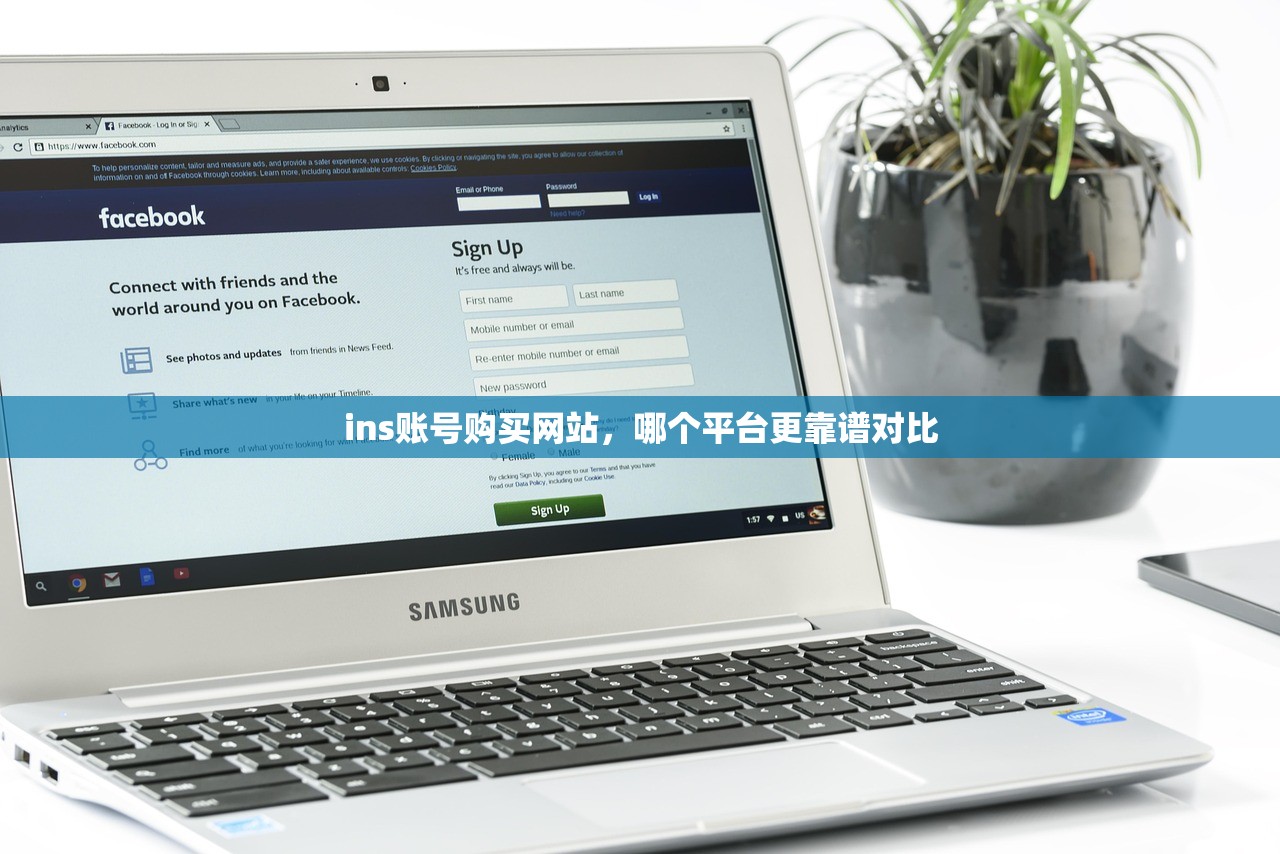 ins账号购买网站,哪个平台更靠谱对比