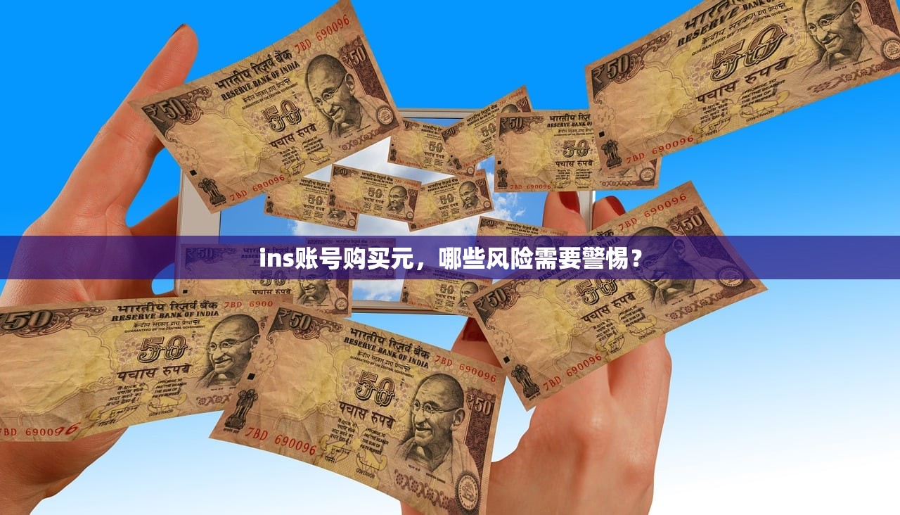 ins账号购买元,哪些风险需要警惕?