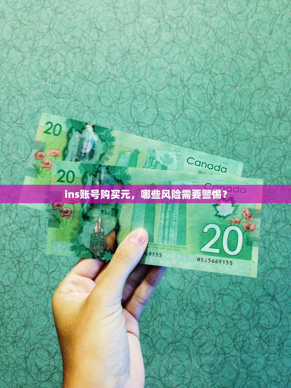 ins账号购买元,哪些风险需要警惕?