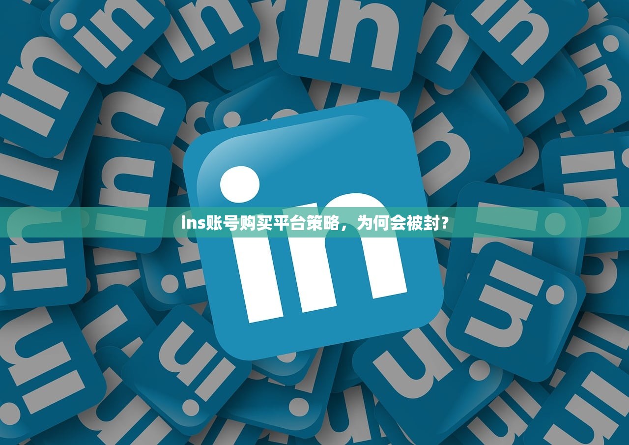 ins账号购买平台策略,为何会被封?
