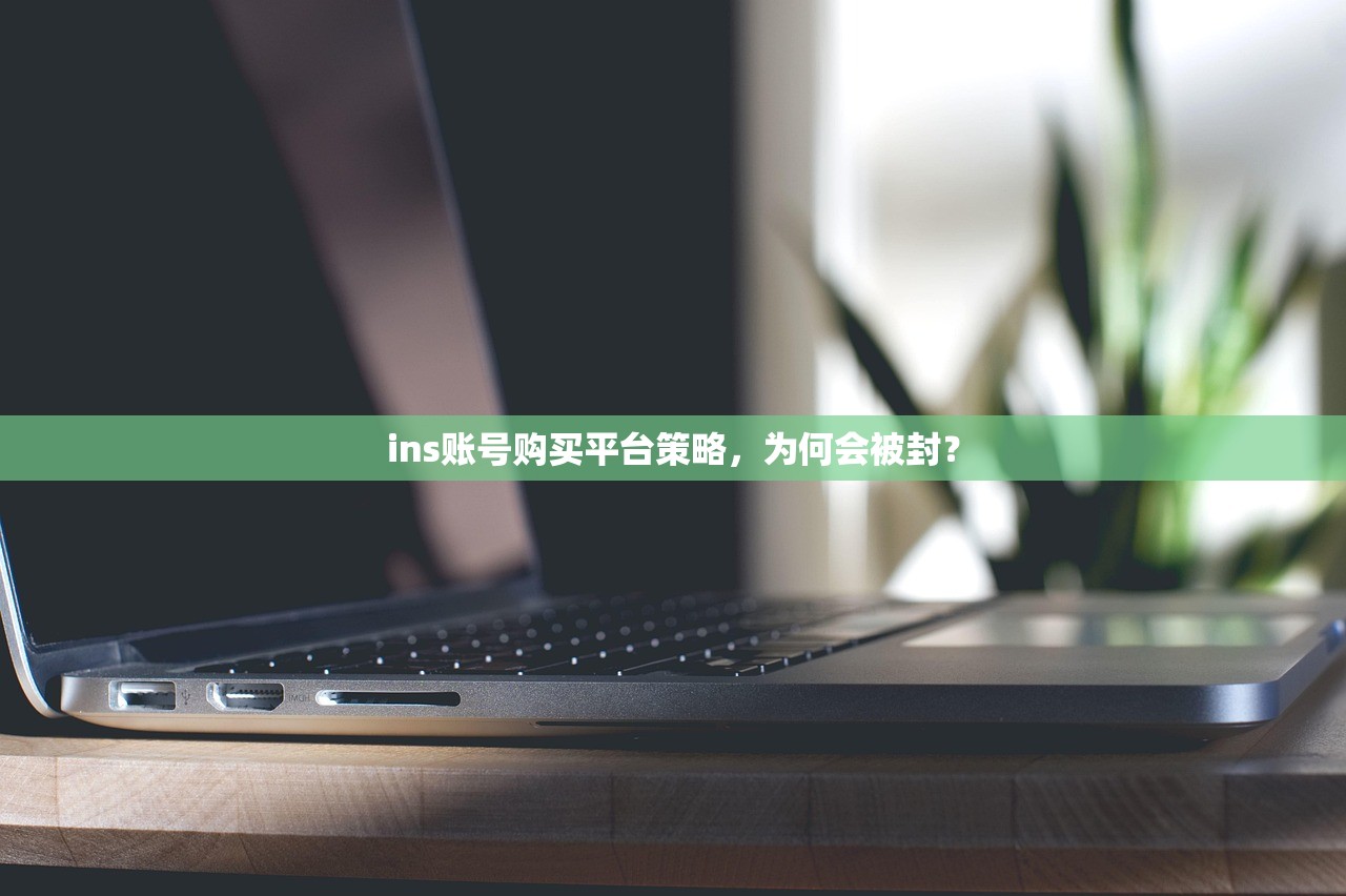 ins账号购买平台策略,为何会被封?