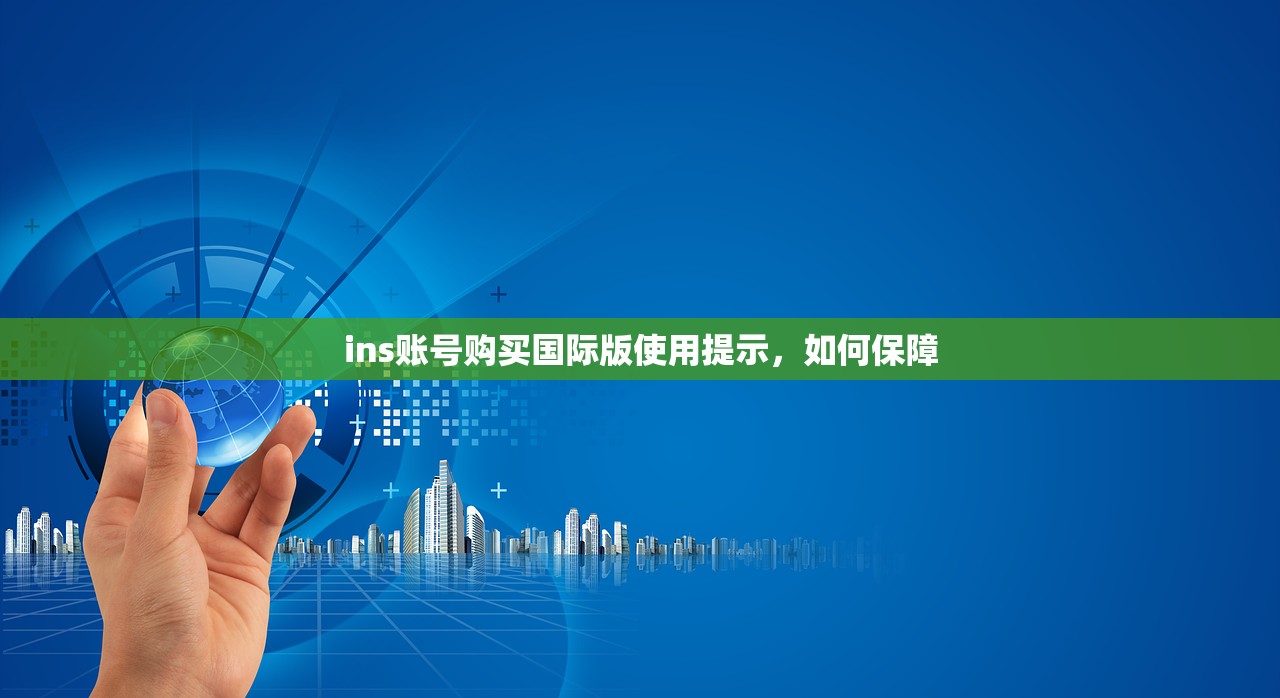ins账号购买国际版使用提示,如何保障