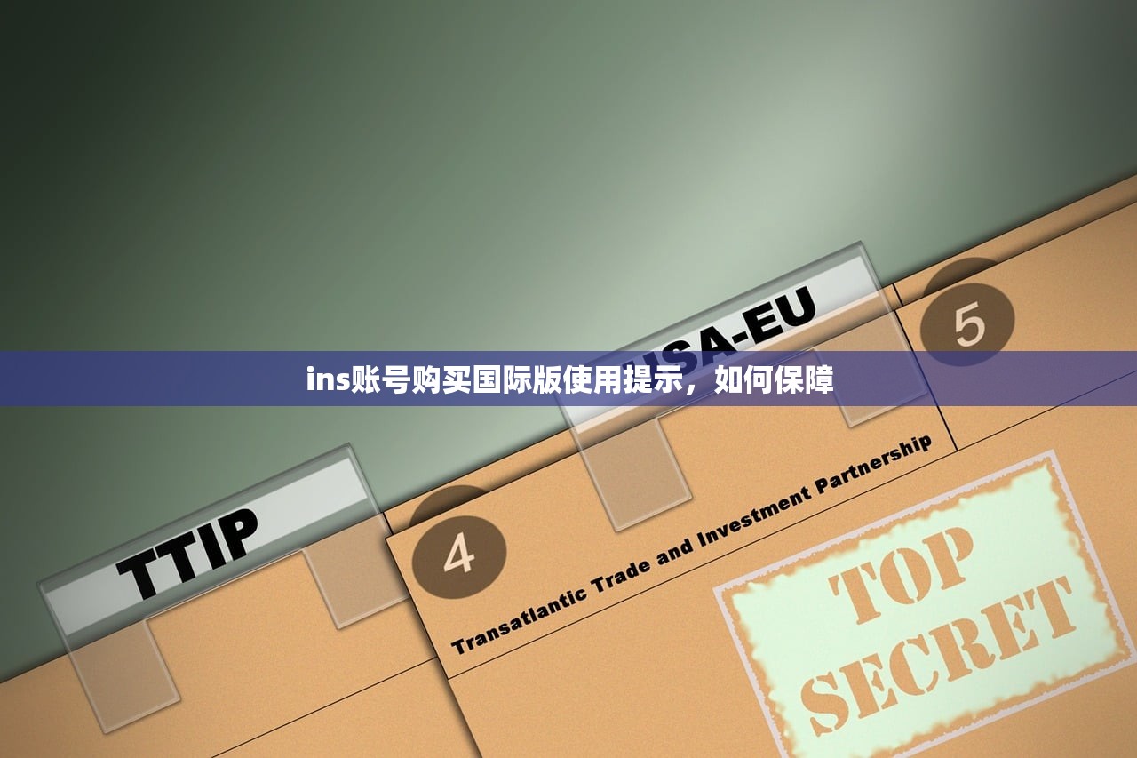 ins账号购买国际版使用提示,如何保障
