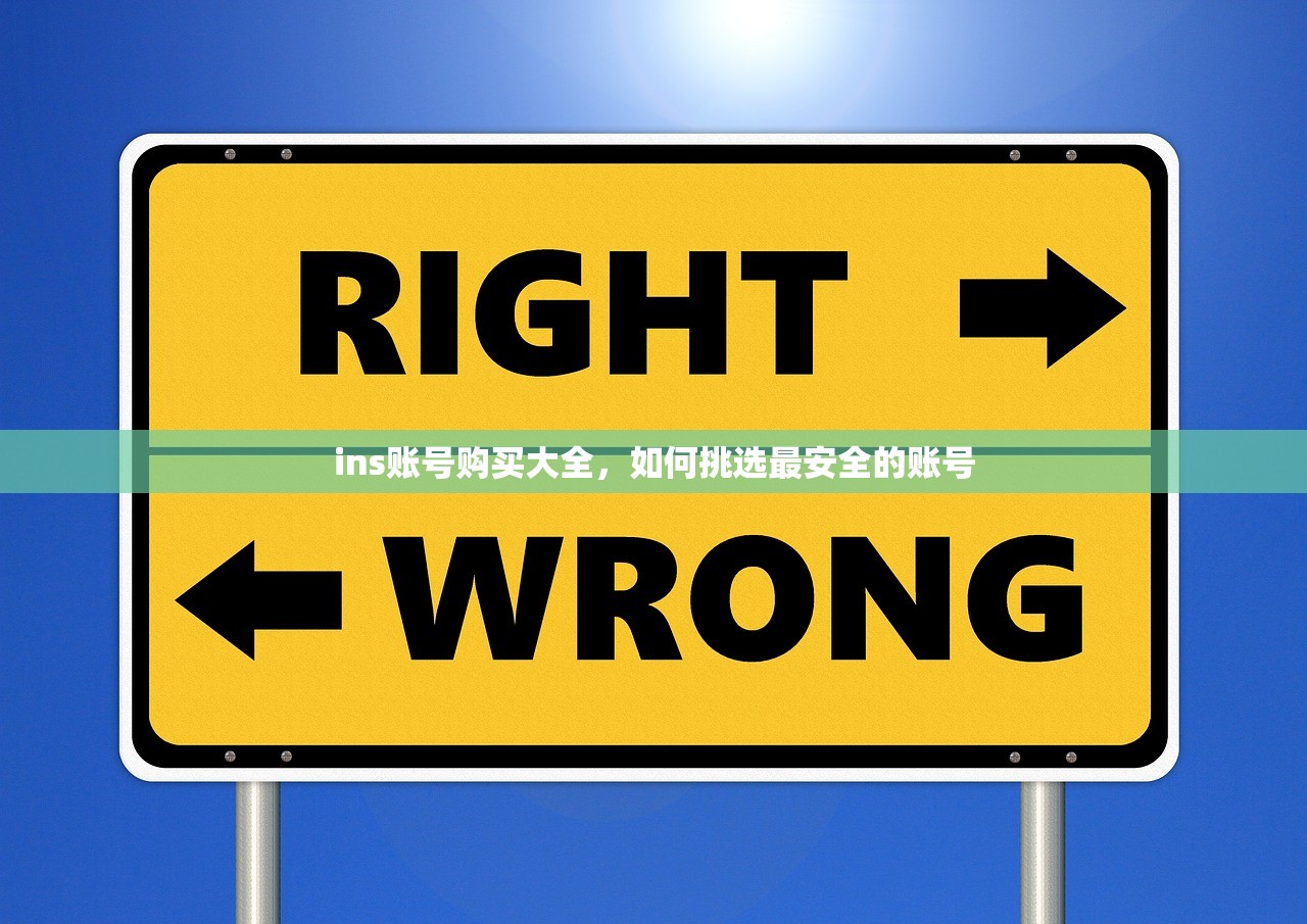 ins账号购买大全,如何挑选最安全的账号