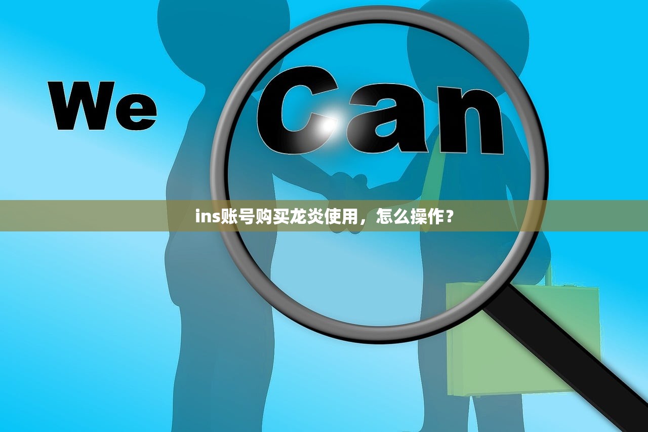 ins账号购买龙炎使用，怎么操作？