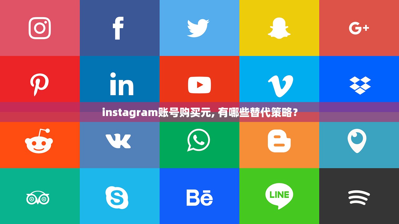 instagram账号购买元, 有哪些替代策略？