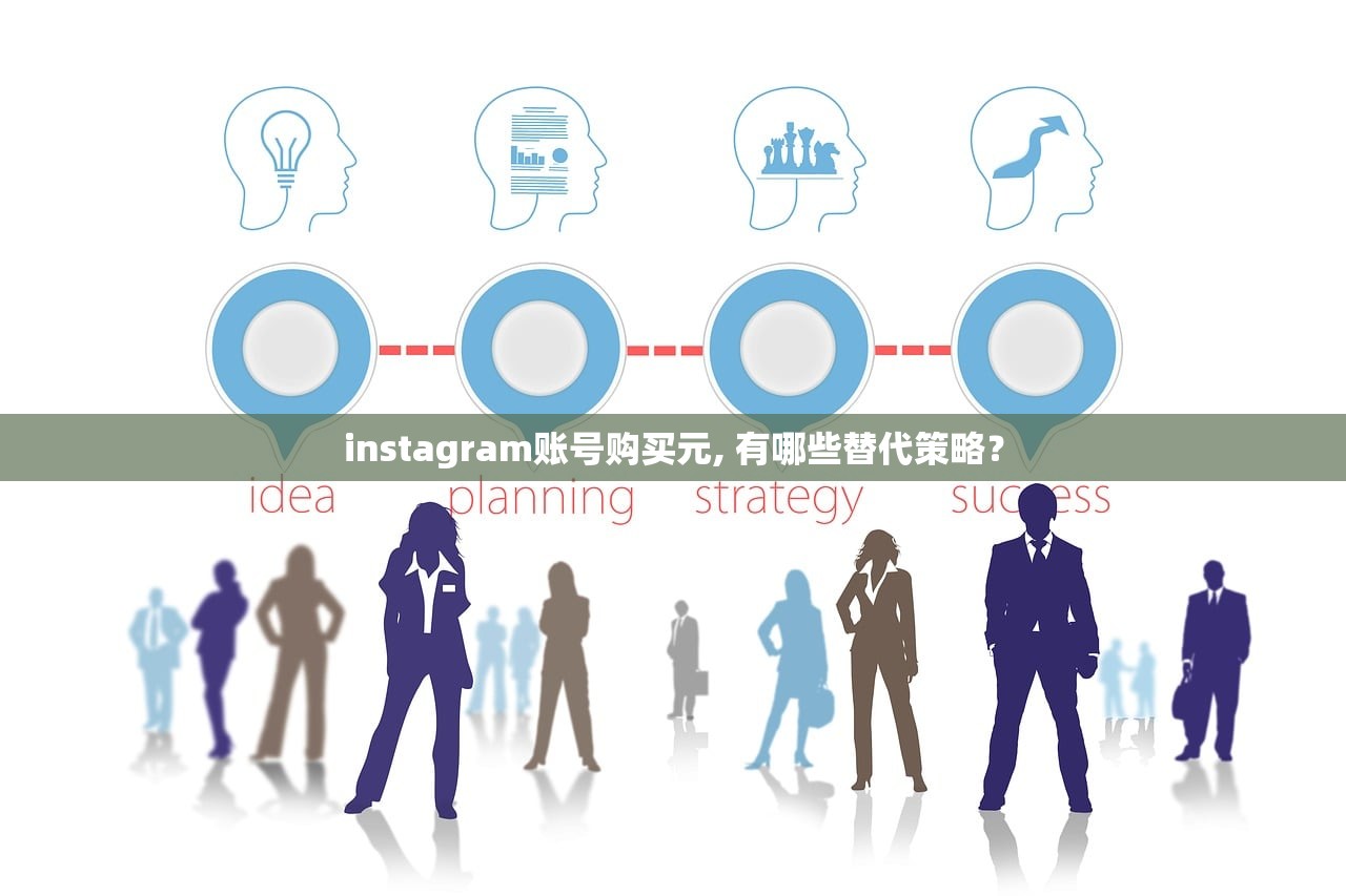 instagram账号购买元, 有哪些替代策略?
