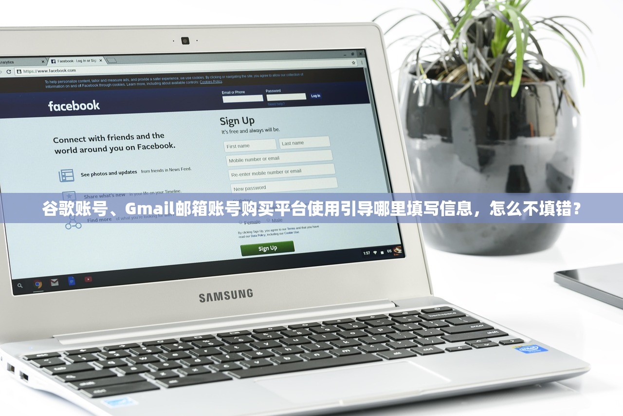 谷歌账号、Gmail邮箱账号购买平台使用引导哪里填写信息，怎么不填错？