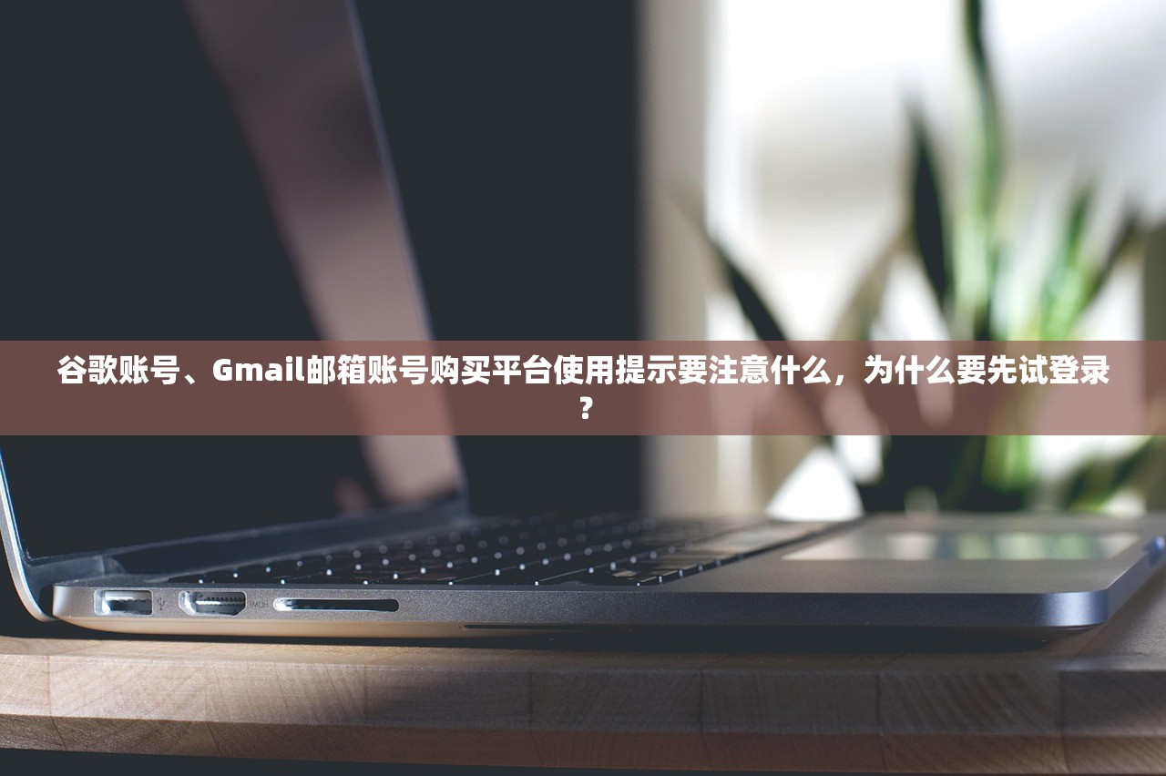 谷歌账号、Gmail邮箱账号购买平台使用提示要注意什么,为什么要先试登录?