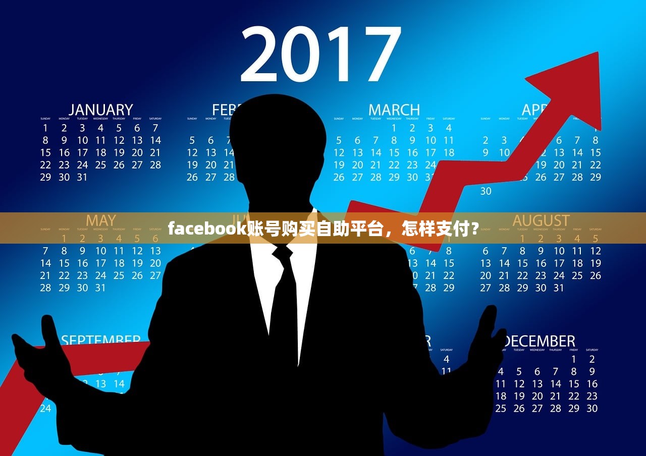facebook账号购买自助平台，怎样支付？