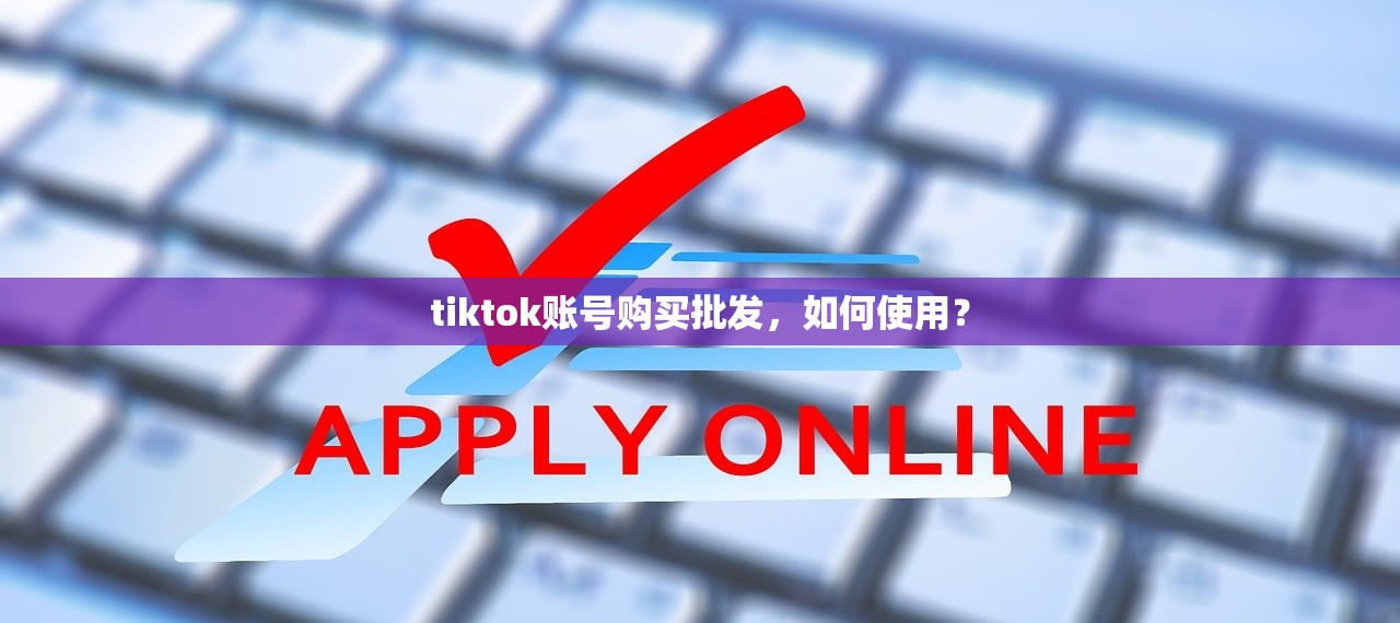 tiktok账号购买批发,如何使用?