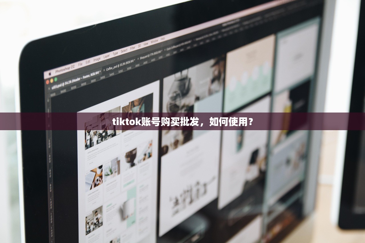 tiktok账号购买批发,如何使用?
