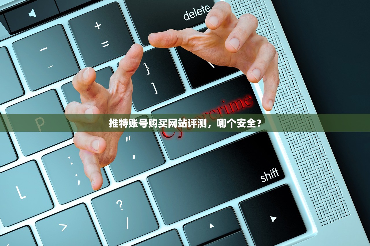 推特账号购买网站评测,哪个安全?