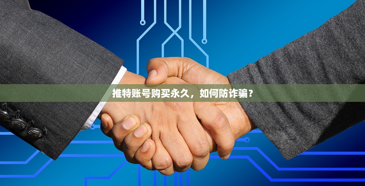 推特账号购买永久,如何防诈骗?