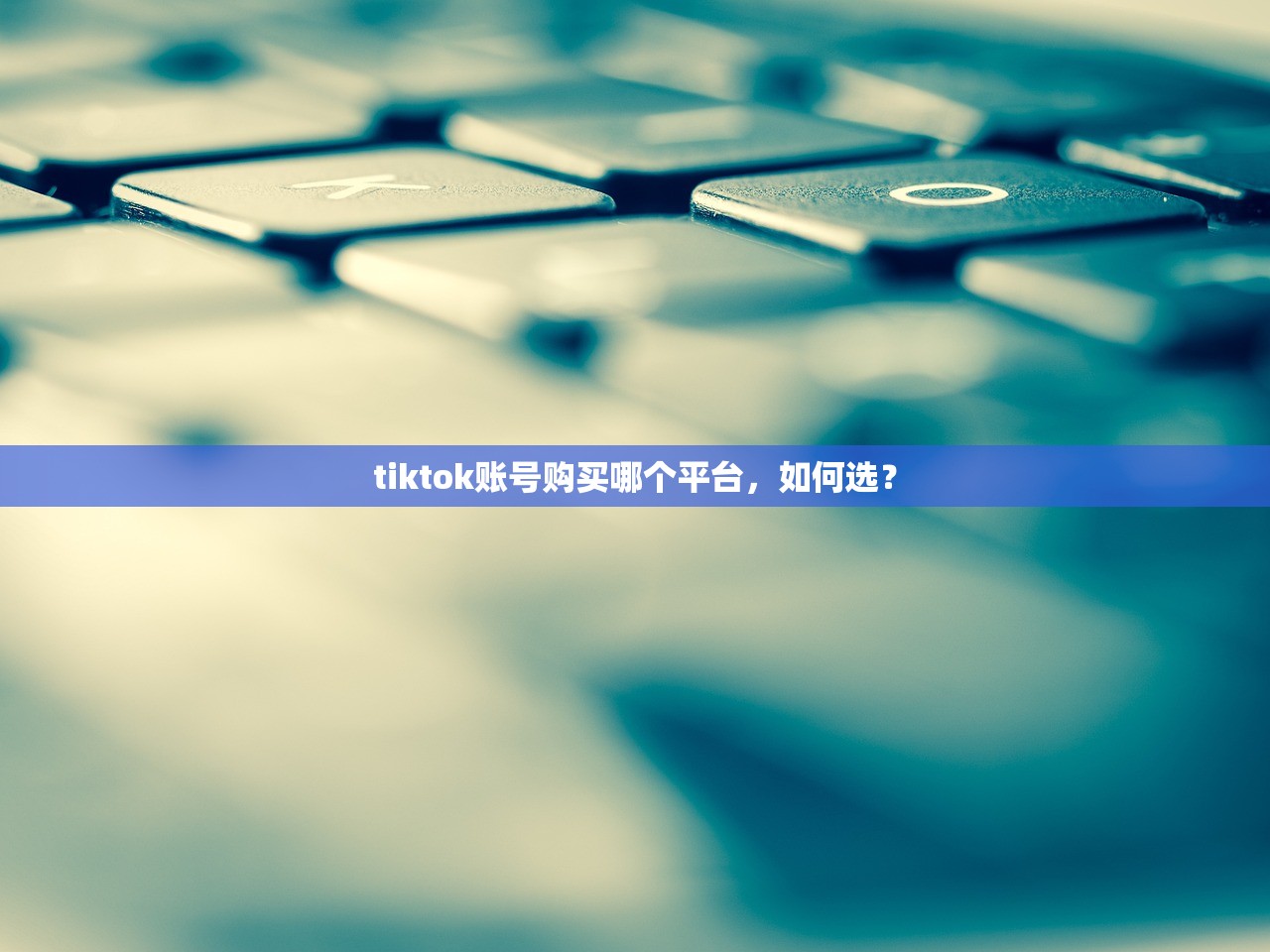 tiktok账号购买哪个平台,如何选?