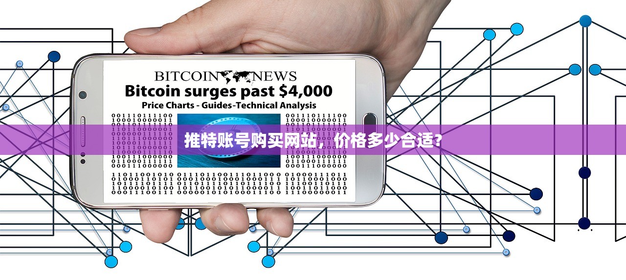 推特账号购买网站,价格多少合适?