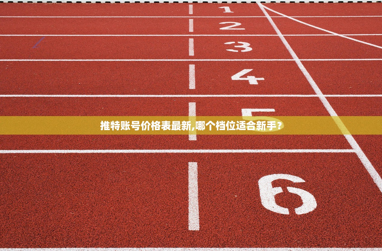 推特账号价格表最新,哪个档位适合新手?